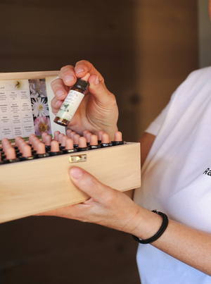 Apiterapija Bach Bovec