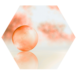 Apitherapy Salon Bovec